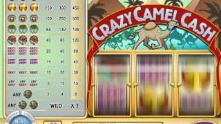 Crazy Camel Cash