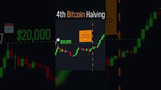 4th #Bitcoin Halving!  #btc #bitcoinhalving2024 #btcnews #crypto #bitcoinhalving #cryptocurrency