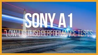 Sony Alpha 1 (A1) Low Light Performance Test vs A7SIII