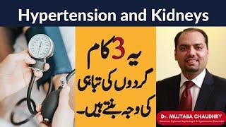 How Hypertension Affects Kidneys by American Nephrologist | 3 Factors of Kidney Disease