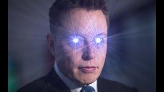 Elon Musk, Meme Lord