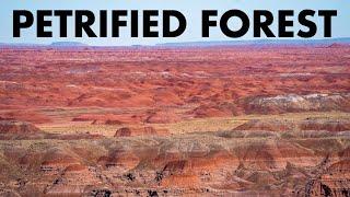 HOW TO SPEND A DAY IN PETRIFIED FOREST NATIONAL PARK, ARIZONA