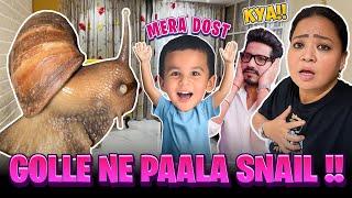 Golle Ne Paala Snail !! | Bharti Singh | Haarsh Limbachiyaa | Golla