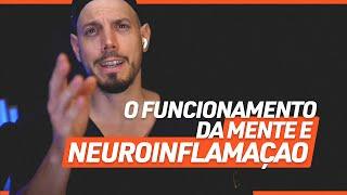 O funcionamento da mente e NEUROINFLAMAÇAO | Dr. Duprat