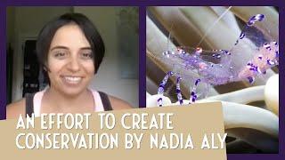 Inspiring conservation with underwater photography - Nadia Aly: Lumino Presents