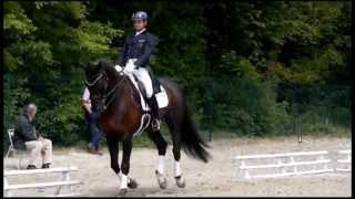 Carl Hester & Dances with Wolves warming up at CDI*** Compiègne