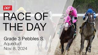 DRF Friday Race of the Day | Grade 3 Pebbles Stakes | November 8, 2024