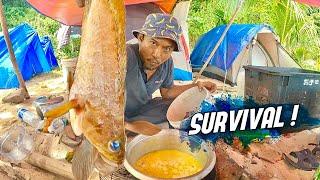 Memancing dan Masak KERAPU LEMAK CILI API  !  -  Camping Pulau Telor, Kedah