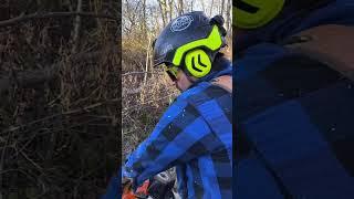 Blowdown control️🪚 #treelife #buckinexperience #work #stihl #chainsaw #outdoors #tree #firewood