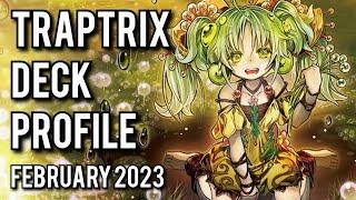 2ND PLACE! Traptrix Deck Profile! FEBRUARY 2023!