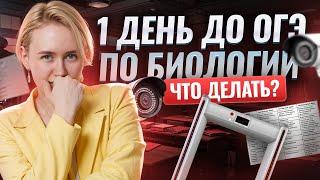 Что делать за ДЕНЬ до сдачи экзамена: советы от Елены Зеленской | Биология ОГЭ | Умскул