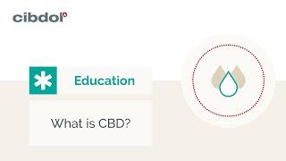 What is CBD? | Educational - Cibdol