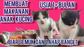 Cara Membuat Makanan Anak Kucing (kitten) Umur 1 Bulan  -Makanan anak kucing Usia 1 Bulan Biar Gemuk