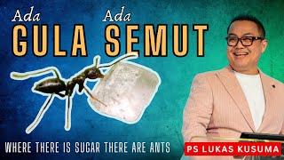 ADA GULA ADA SEMUT || Ps Lukas Kusuma || Minggu, 23 Juni 2024 || #viral #sermon