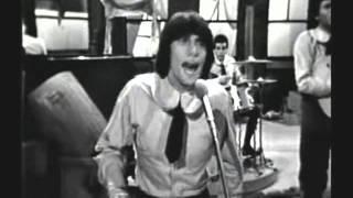 Young Rascals - I Ain't Gonna Eat Out My Heart Anymore (1966)