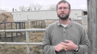 Beef Research School - Properly Diagnosing Causes of Lameness In Cattle