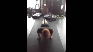 Brett Cass Push ups (x32)