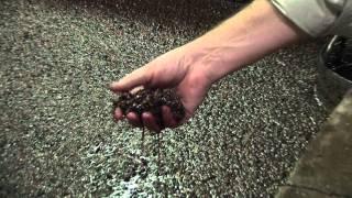 How to make Port wine: Fermentation & Fortification