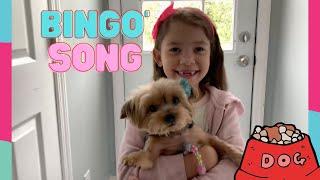 Bingo Song | Nursery Rhymes,  Children's Educational Video