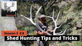 Shed Hunting Tips and Tricks