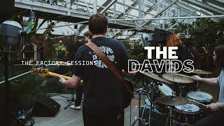 The Davids x The Factory Sessions (Live at the Tropical Ravine, Belfast) Where did it all go wrong?