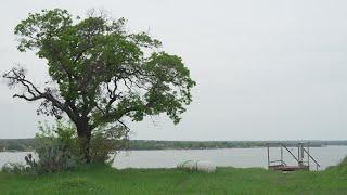 Four people injured at Texas lake after trolley malfunction