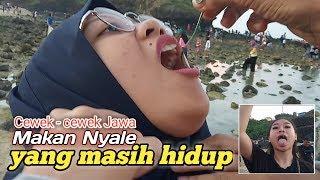 Makan Cacing Laut yang masih hidup.. (Pesona bau Nyale Lombok )