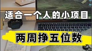 最新灰产网赚暴利赚钱项目分享 实测稳定靠谱挣钱项目 每天2小时 月入3-20w的合法灰色网赚教程 人人可上手的网赚项目 新手小白也可做！