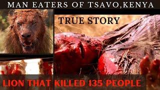 Lion who killed 135 people || man eating lions || why lions become man eaters @W H Y