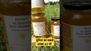 World best A2 Cow Bilona Ghee At Nyutam Farm || A2 Cow Bilona Ghee