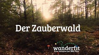 Kurze Auszeit mit der Entspannungsreise durch den Zauberwald