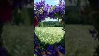 Народный календарь для малышей#shorts #лето#праздник#мир #культура #история #жизнь