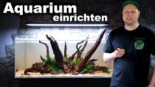 PFLEGELEICHTES 160 Liter AQUARIUM | Ein neues AQUASCAPE entsteht | JR Aquascaping