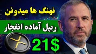 ریپل بزودی منفجر میشه  خرید عظیم و شگفت انگیز نهنگ ها در سکوت بازار