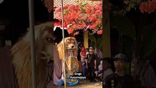 Barongan dawangan #shorts #storywa #barongan #viraltiktok #jaranan #dawangan