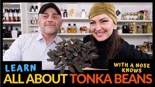 What Are Tonka Beans? Everything You Need To Know About Tonka Beans W/A Nose Knows