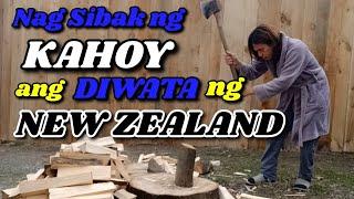 Nag SIBAK ng KAHOY ang DIWATA ng NEW ZEALAND