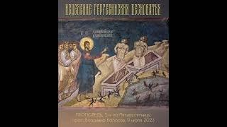 ПРОПОВЕДЬ. 5-я по Пятидесятнице, о исцелении гадаринских бесноватых, прот. Владимир Колосов, 2023.