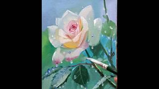 Роза.Rose oil painting