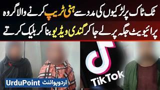 A Group Using Girls On Tiktok To Do Honey Traps - They Make Videos Of Victims & Then Blackmail Them