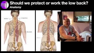 The Low Back | Protect or Work?