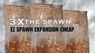 TRIPLE YOUR STORE BOUGHT SPAWN FOR PENNIES, No Flowhood Required