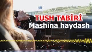 Tushda mashina haydash nimani anglatadi - Mashina haydash tush kitobining talqini