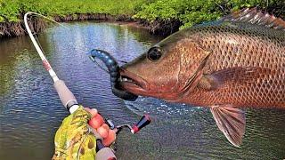 Choosing & Breaking in a New Skip Casting Rod