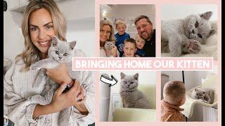 BRINGING HOME OUR BRITISH SHORTHAIR KITTEN - FIRST 24 HOURS AT HOME AND SETTLING IN - SO CUTE!