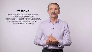 Детокс концентрат T8 Stone (Tayga8 / Тайга 8). Очищение организма. Фульвовые кислоты.