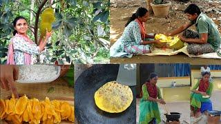 Jackfruit harvesting in our farm and making traditional sweet recipe| பலாப்பழம் அறுவடை|fresh fruits
