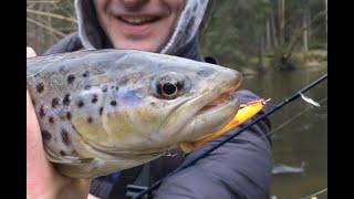 Ручьевая форель. Brown Trout Fishing. Калининград. Koenigsberg