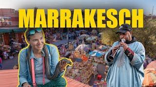 Der TOTALE WAHNSINN: ZAHNARZT, SCHLANGEN und ABZOCKER in Marrakesch.