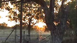 Short clips of a sunset in Central Texas